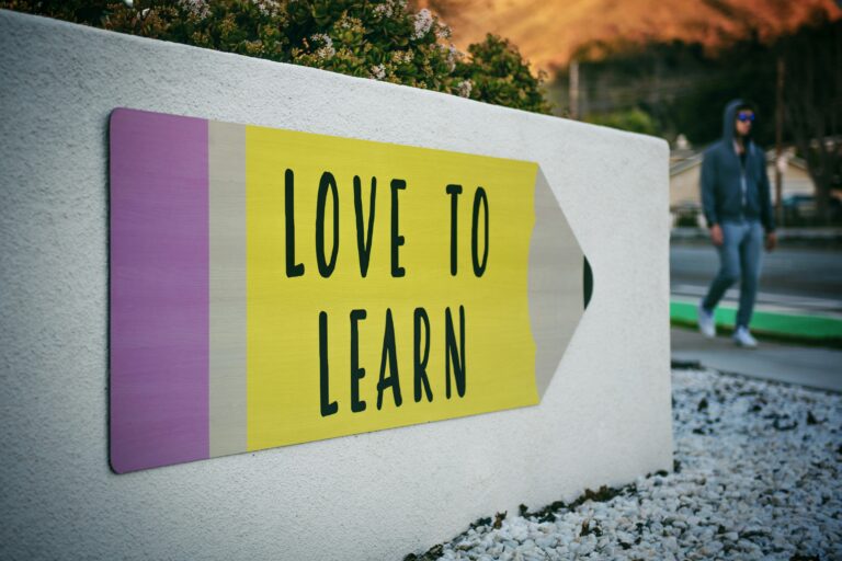What Skills Do You Need to Be a Successful Foster Carer?